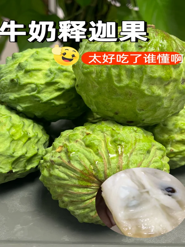 牛奶释迦果佛头果番荔枝新鲜水果大果特大果果王包邮