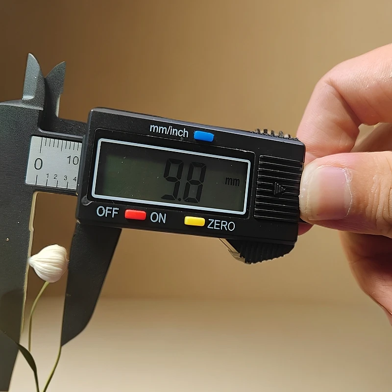 20b松山天然猛犸牙 蒜头珠 可搭配手串DIY 支持复检