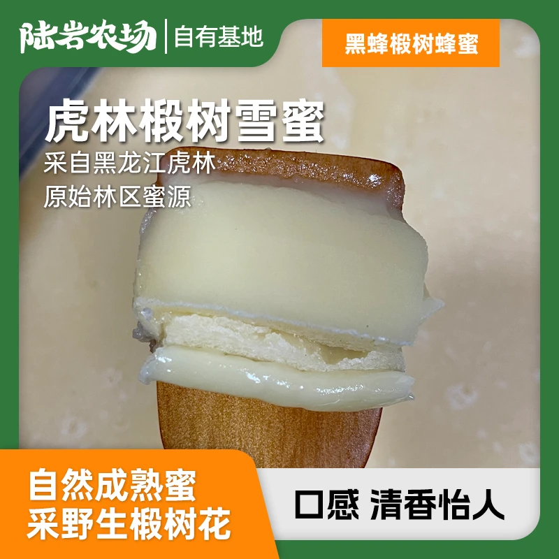 陆岩农场丨黑蜂椴树蜂蜜 500克/瓶 自然成熟蜜 玻璃瓶 虎林野生