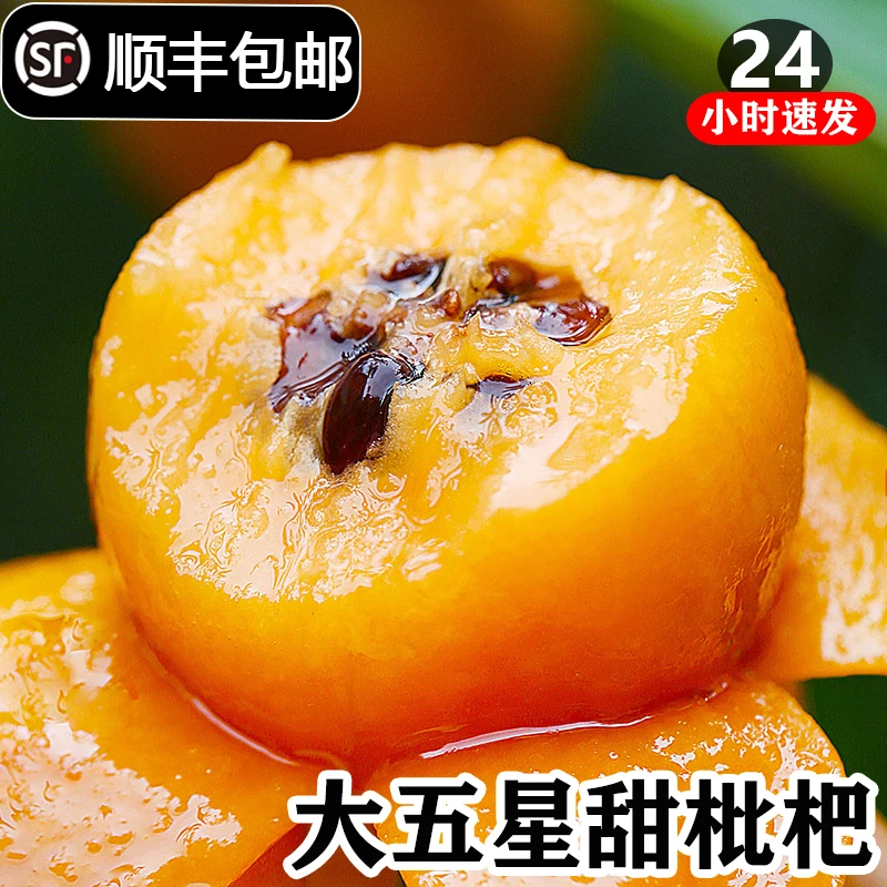 【顺丰】现摘现发云南大五星枇杷鲜果甜水果新鲜5斤3斤/1斤当季整箱