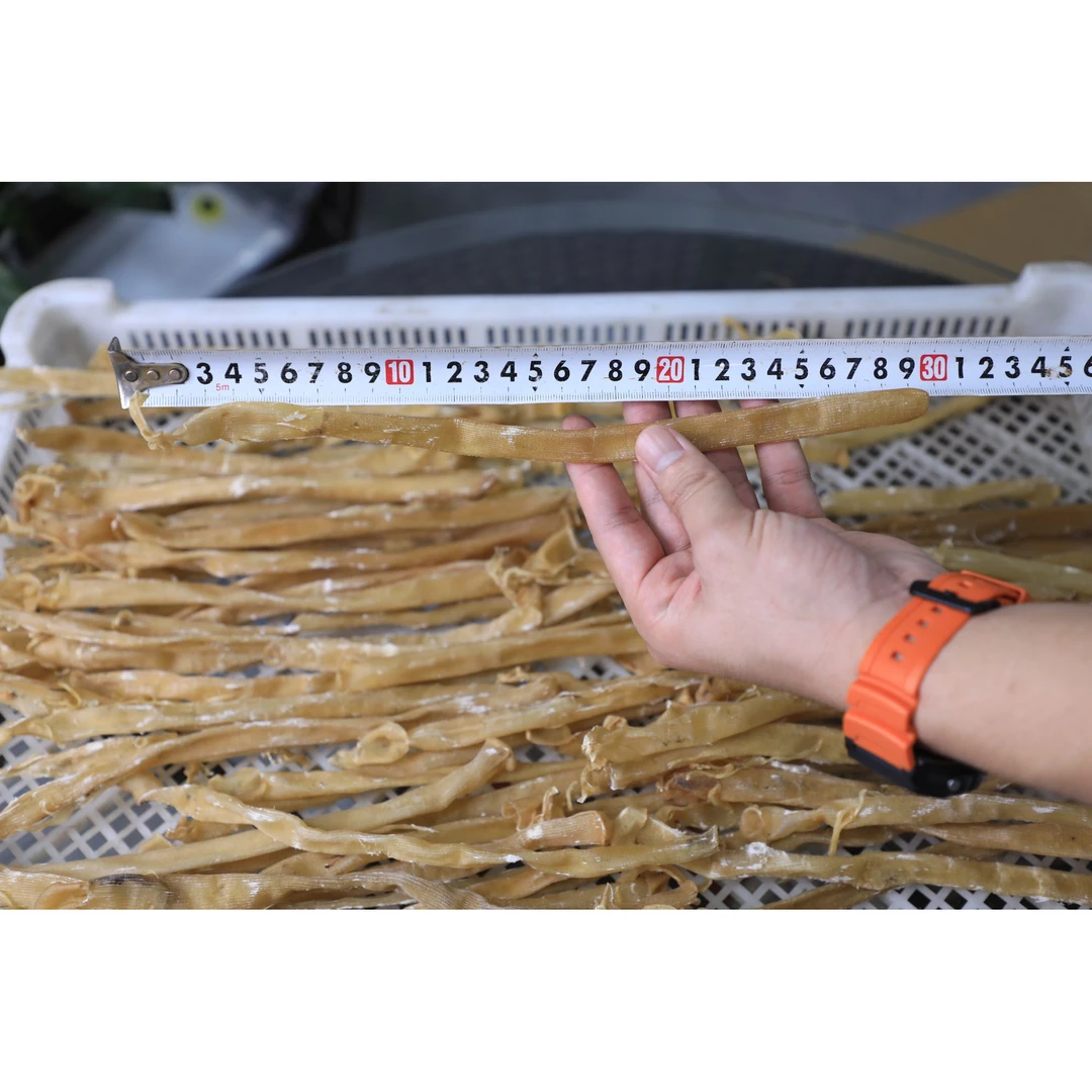 特大号沙虫干批发新鲜沙虫干货自晒宝宝煮粥非海藻