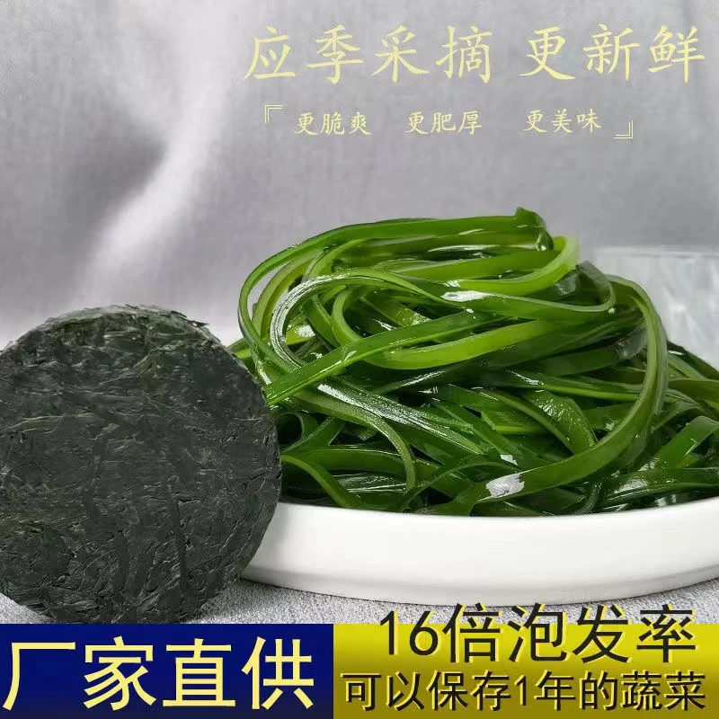 【1片1盘菜16g/片】烘干圆饼海带丝免煮免洗热水泡发凉拌菜干货营养