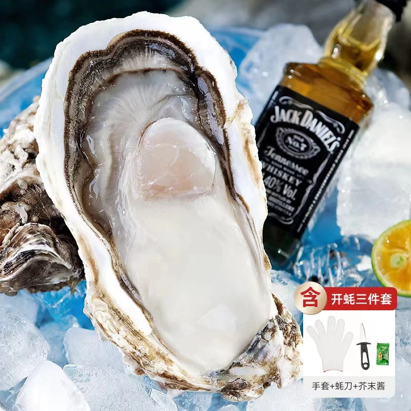 【鑫哥溯源专场】鲜活乳山生蚝4-5两/个 7斤装 保鲜保活