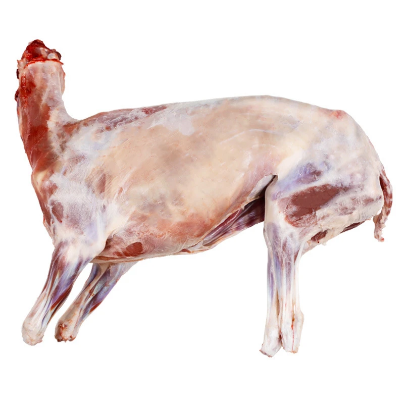 内蒙古羔羊送礼白条锡林郭勒盟过节礼盒羊手把全羊羊肉草地新鲜