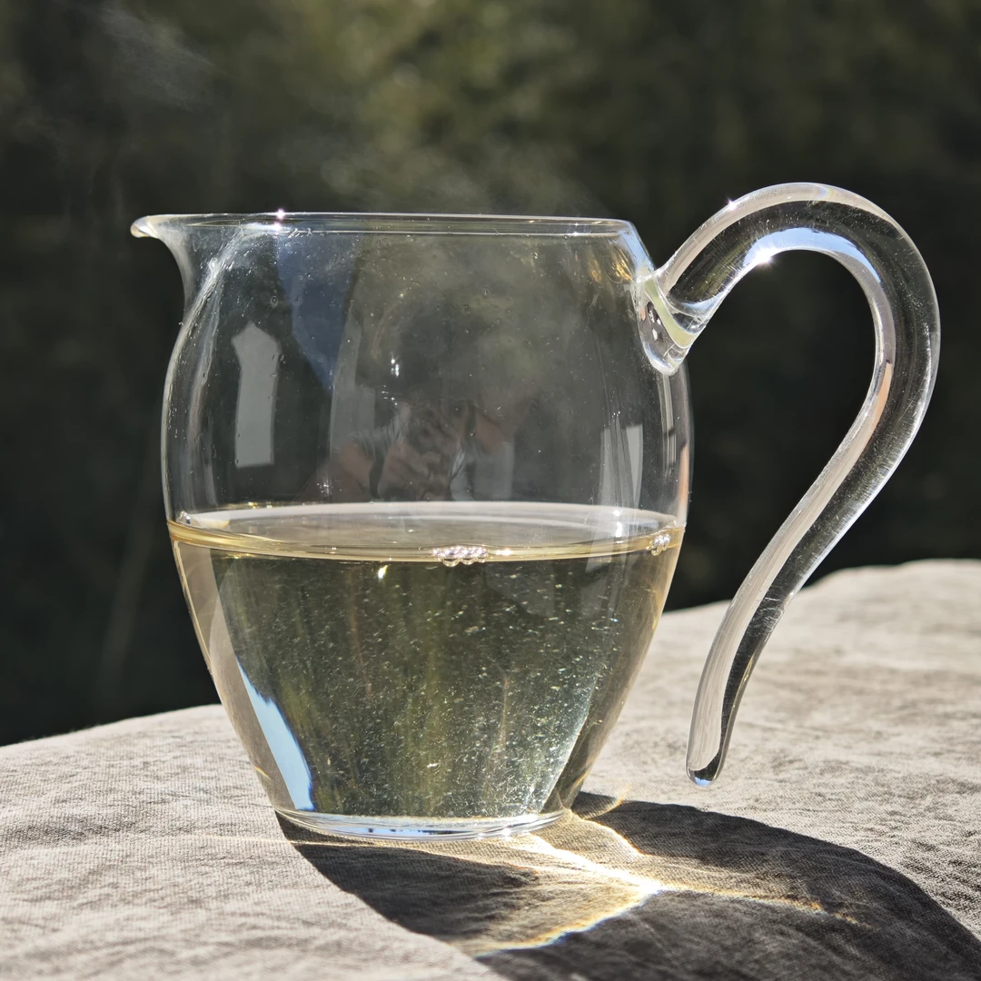 【2024政大一级白毫银针】政和白茶 高山味道