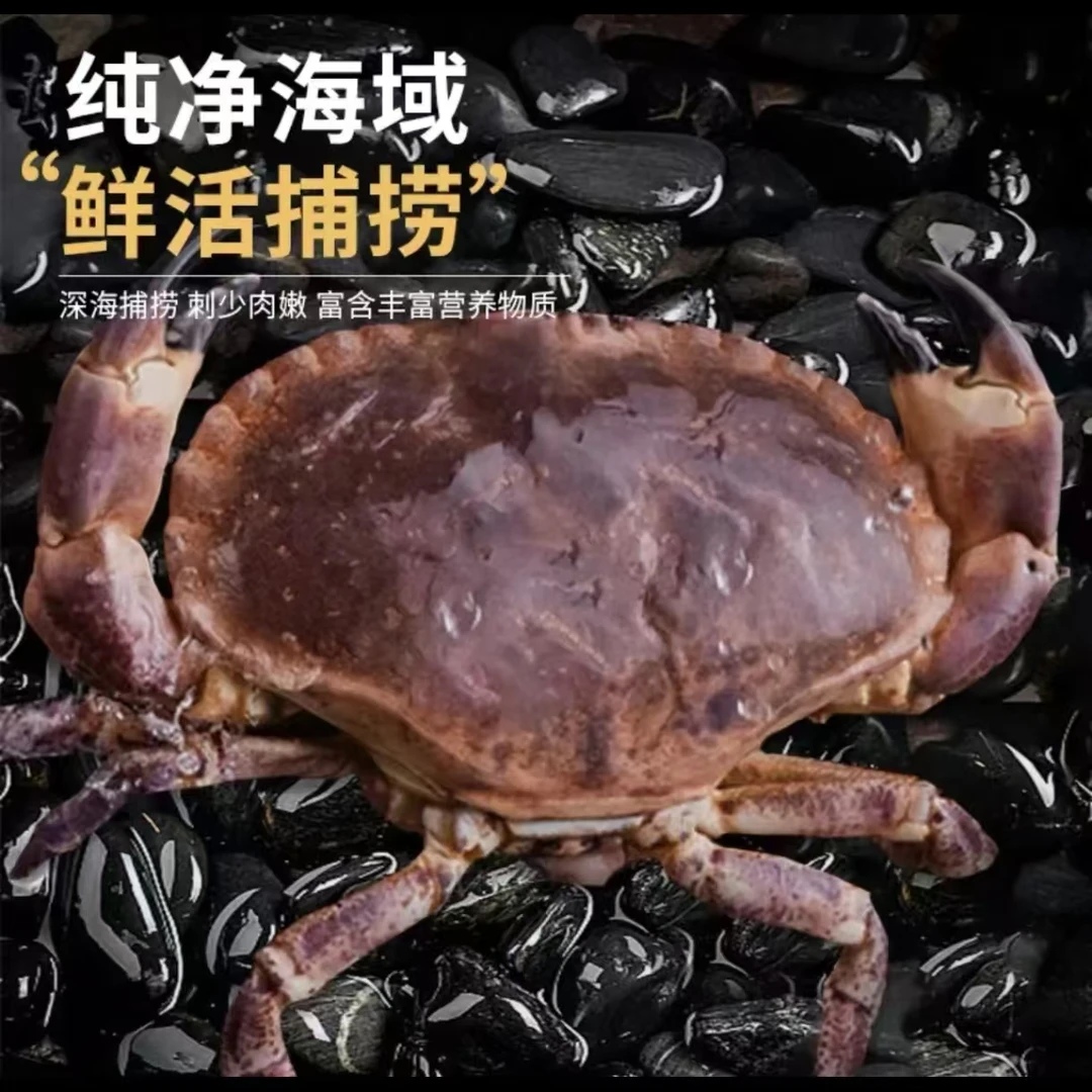 面包蟹3-4斤活冻锁鲜保鲜新鲜冷冻鲜嫩海鲜