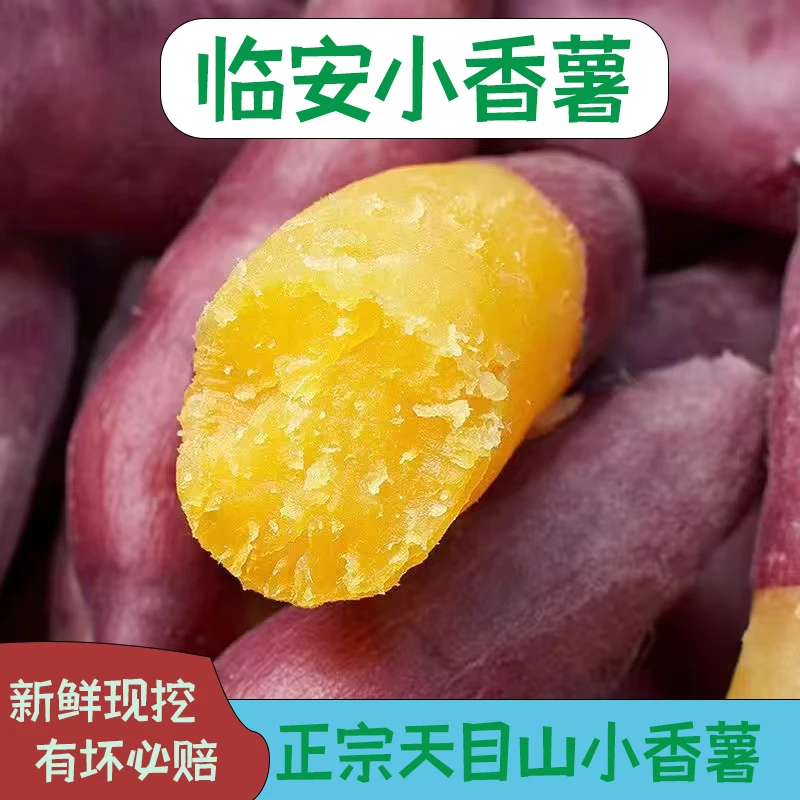 临安香甜小香薯带箱5斤装【尚田农业】