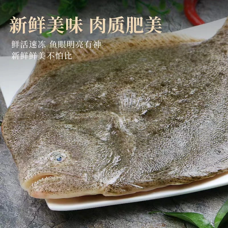 【辽宁电视台】鲜活速冻多宝鱼