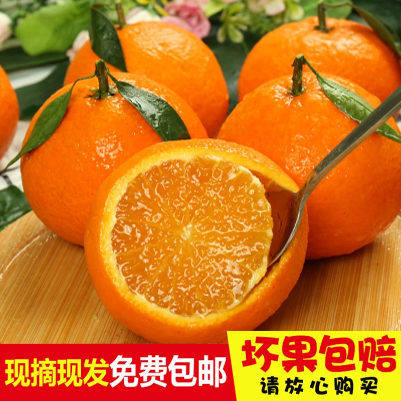 鹊岭春橙【成熟】5.5斤带箱、当季水果新鲜采摘果园直供鲜嫩细嫩