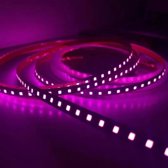 24 V佛山贴片灯带