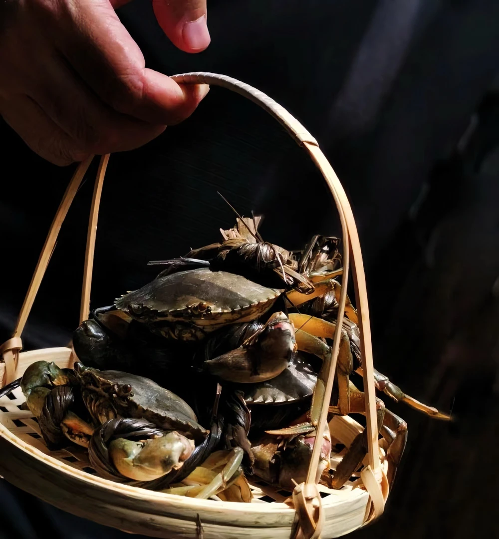 虾小呆 6-7少女鲟 青蟹 肉质紧实 鲜活发货饱满美味