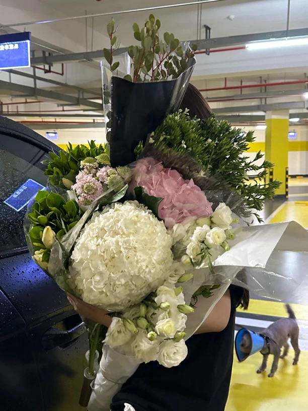 【pp草花链接】云南昆明斗南源头直发