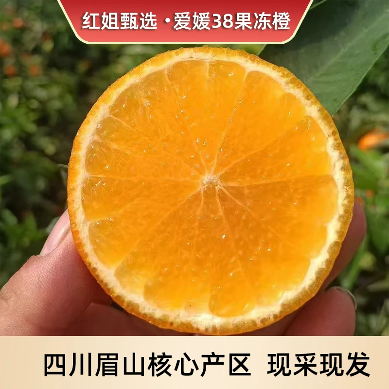 四川眉山产地爱媛38果冻橙褒奖多汁皮薄肉厚酸甜可口孕妇水果宝宝