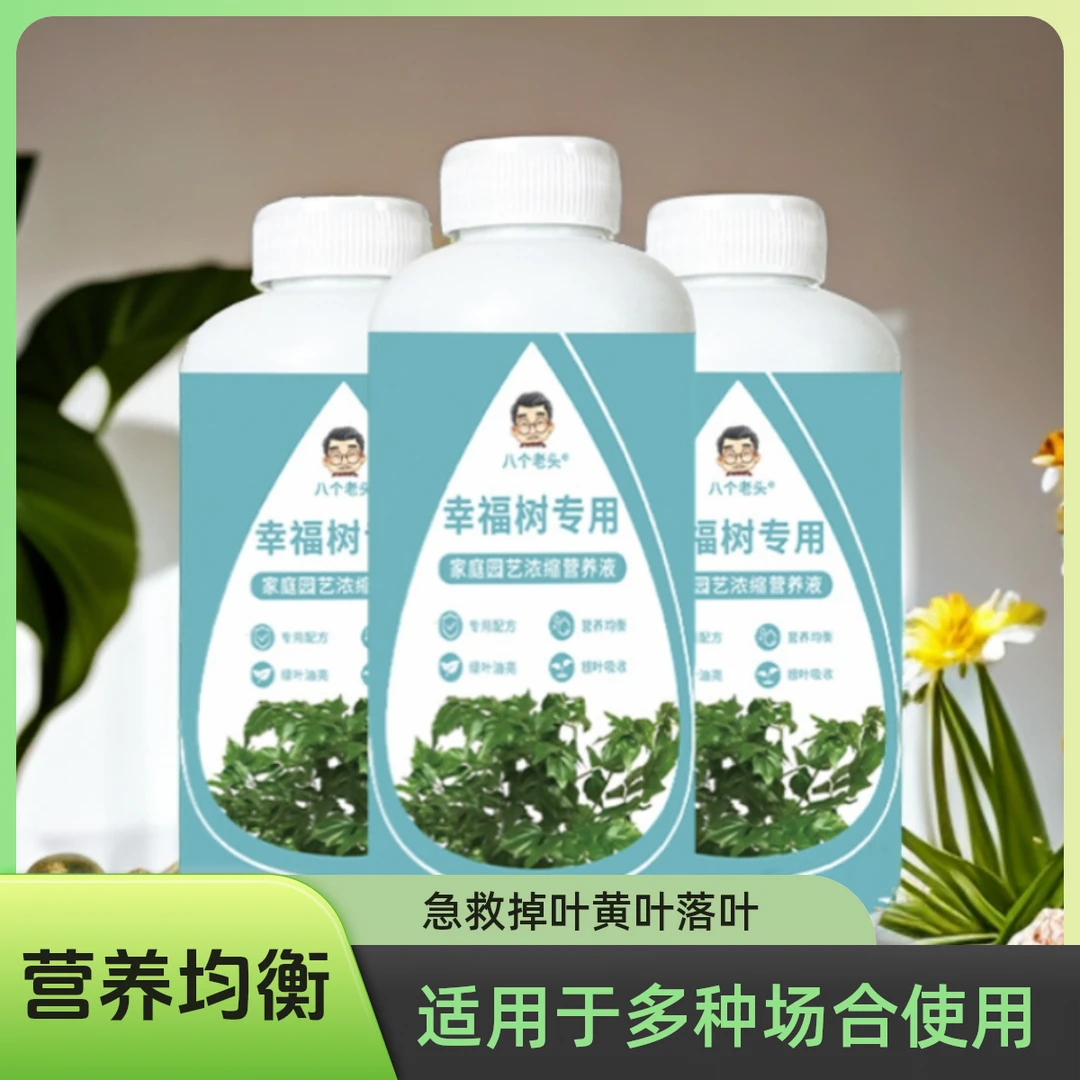专用植物营养幸福树植物营养绿植枝叶植物营养枝叶掉植物营养