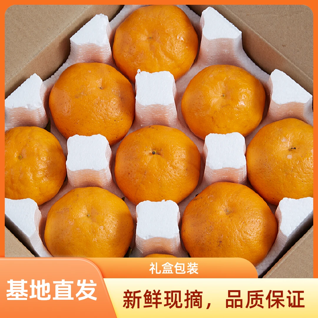 四川春见耙耙柑礼盒包装现摘现发满口爆汁皮薄颗颗饱满粒粒分明