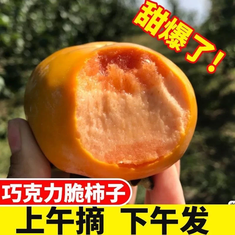 【正宗巧克力脆甜柿】陕西高原阳丰脆甜爽口现摘现发新鲜带箱五斤