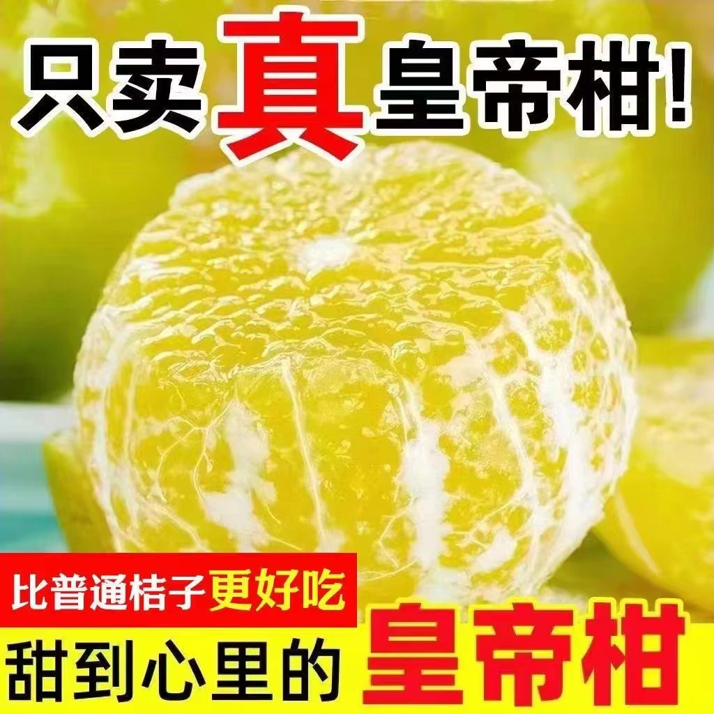 正宗广西新鲜皇帝柑贡柑皮薄肉厚爆甜应季水果柑橘桔子