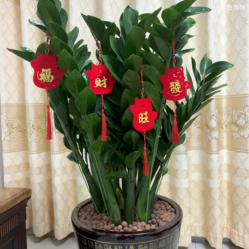 乔迁新居进宅节日布置发财树金钱树盆景福字门贴灯笼喜庆装饰挂件