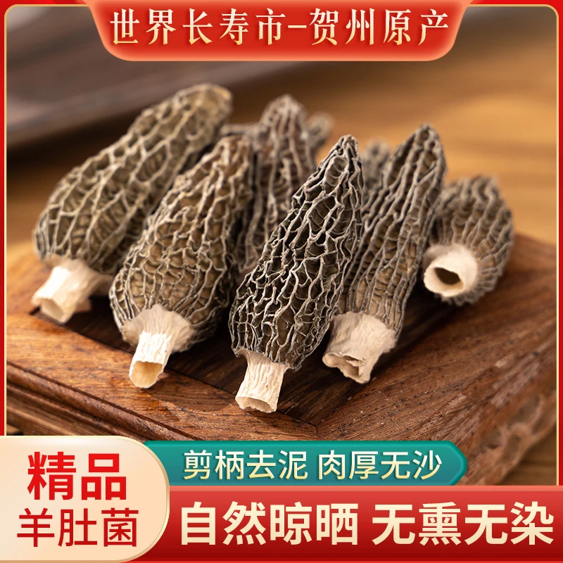 头茬羊肚菌干货精选新鲜菌菇煲汤源头干货食材食用菌特产