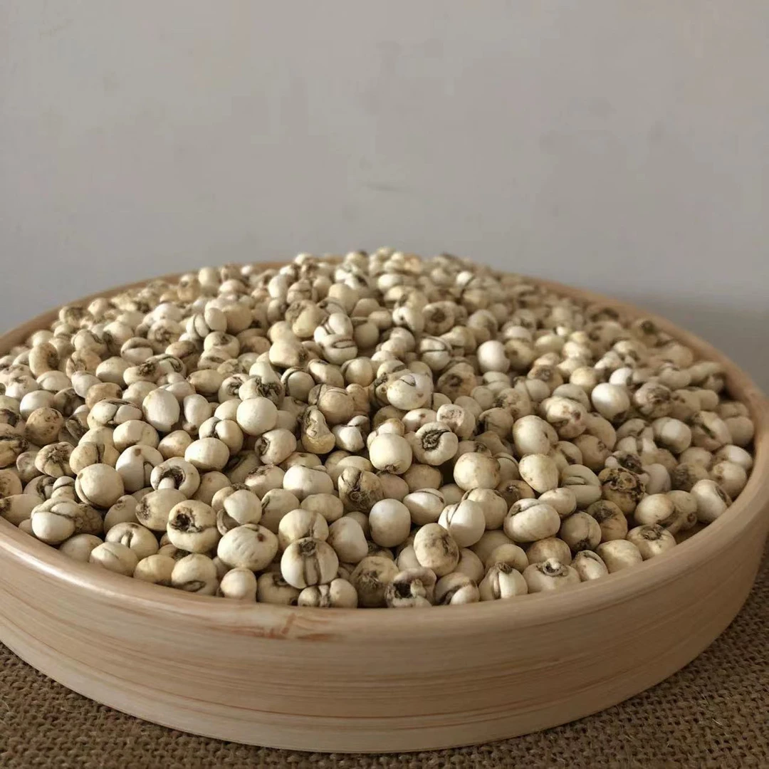 《贝母》纯正小贝母100g起拍