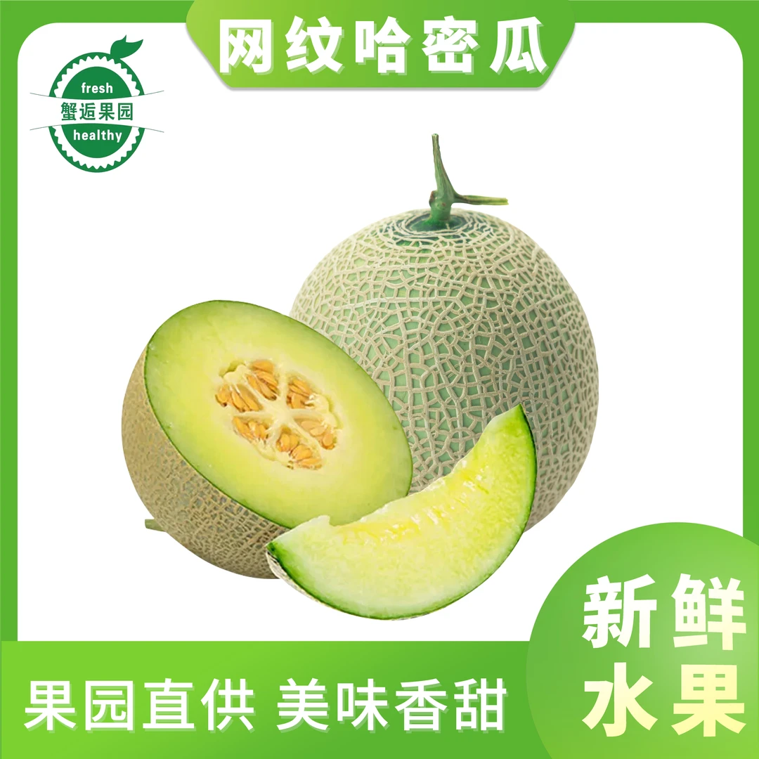 网纹哈密瓜约2.5斤