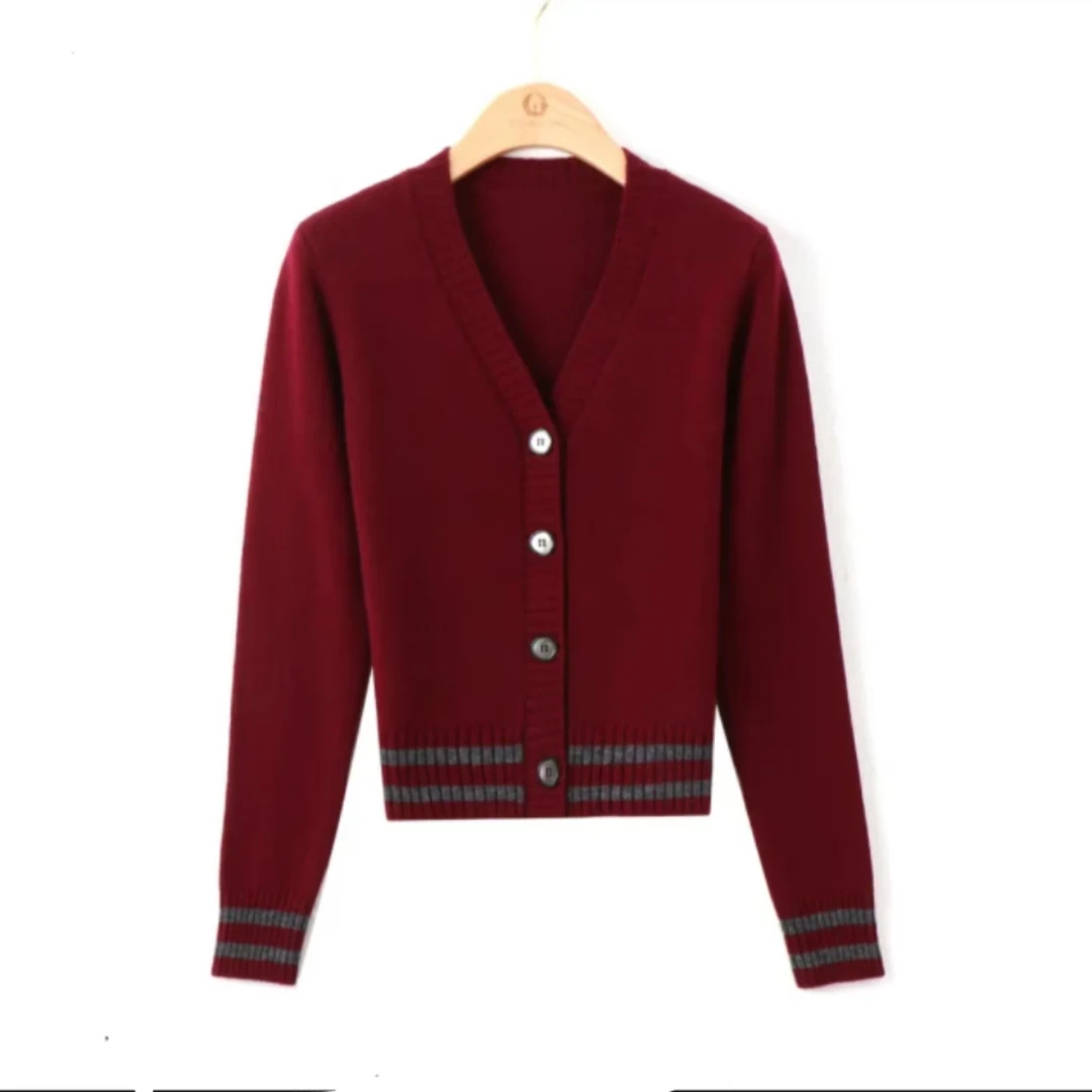 2024秋季潮流新款V领针织气质百搭修身长袖时尚上衣