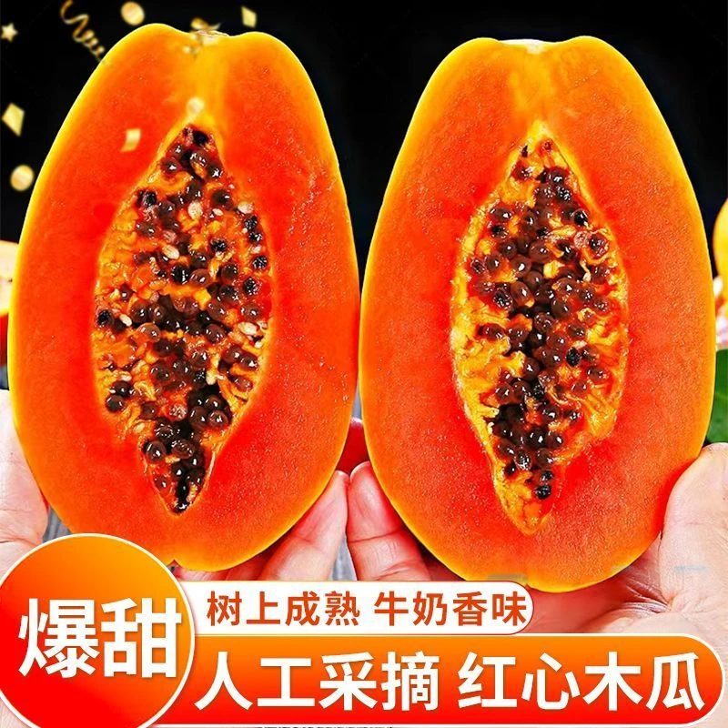 云南树上熟红心牛奶木瓜产地新鲜冰糖心现摘现发5斤应季热带水果