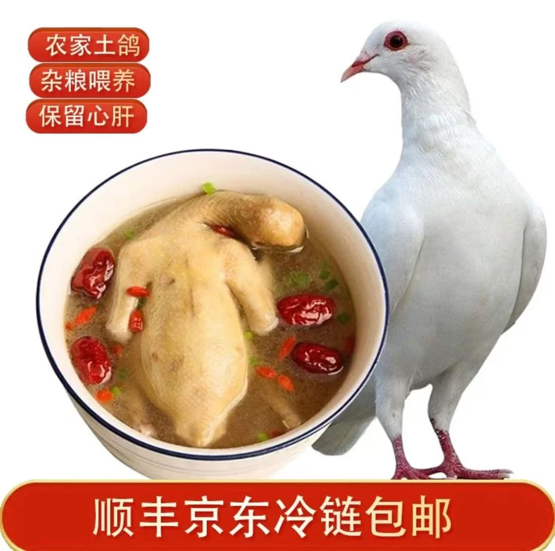 【拍三发五乳鸽】杂粮喂养新鲜现杀乳鸽急冻锁鲜单只净重4-5两