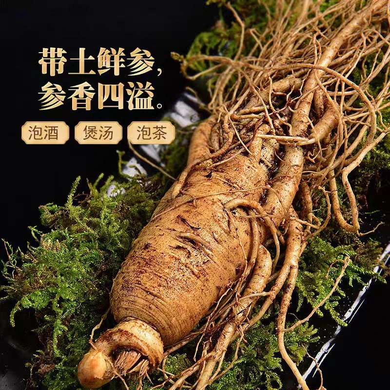 长白山产地现挖鲜人参足年大人参【单支50克左右】