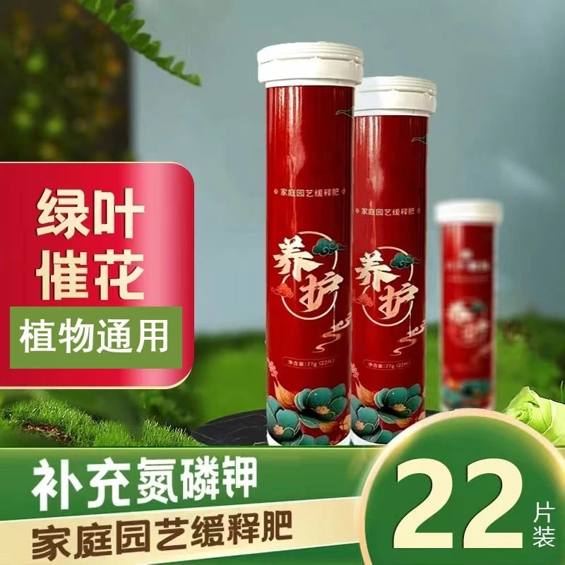 家庭园艺颗粒缓释肥 植物通用型氮磷钾花肥料 多肉盆栽花卉营养片