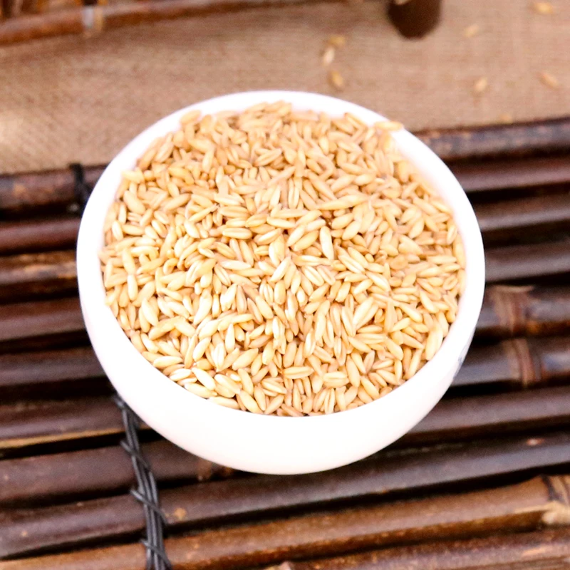 燕麦米五谷杂粮米真空包装燕麦小包装营养健康杂粮饭美味粗粮好吃