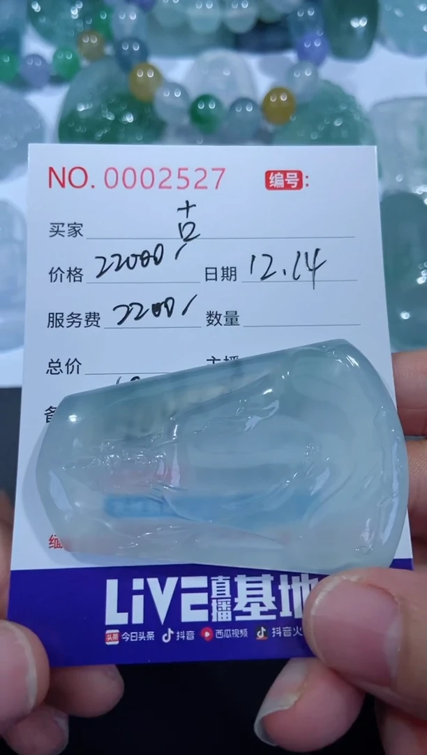 【闪购商品】翡翠颈饰未镶嵌定制!!!(定金)