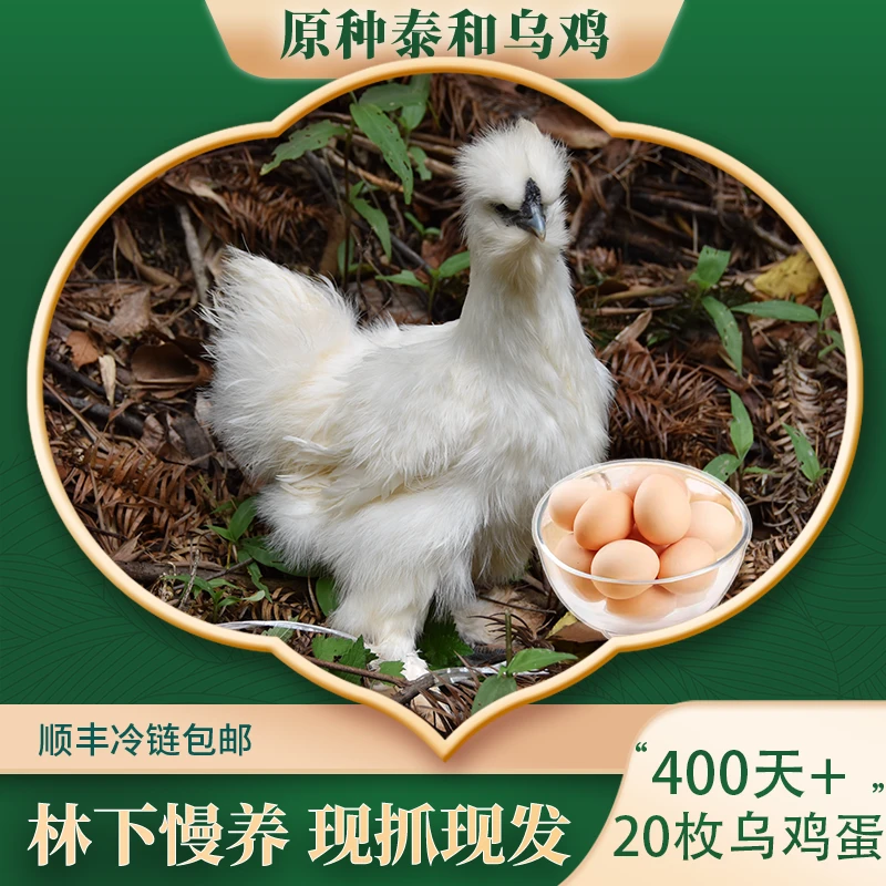 傲昕【400天+20枚乌鸡蛋】原种泰和乌鸡老母鸡散养高营养净重1450g
