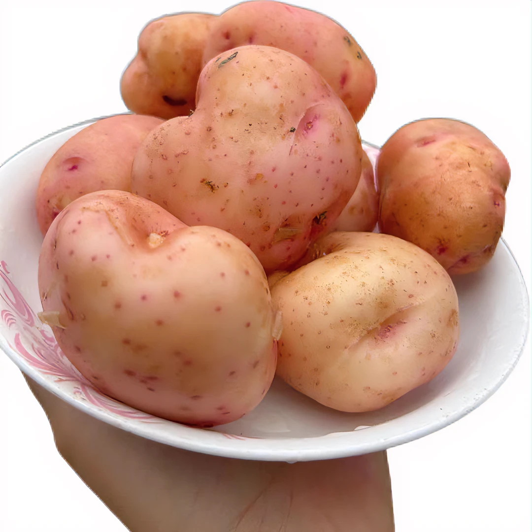 批发黄心土豆红皮大土豆高山现挖整箱 小土豆