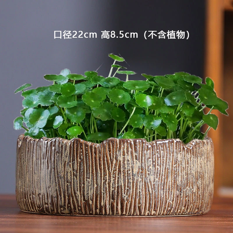 棕色铜钱草专用盆水仙睡莲无孔大号陶瓷水培家用花盆清仓捡漏批发