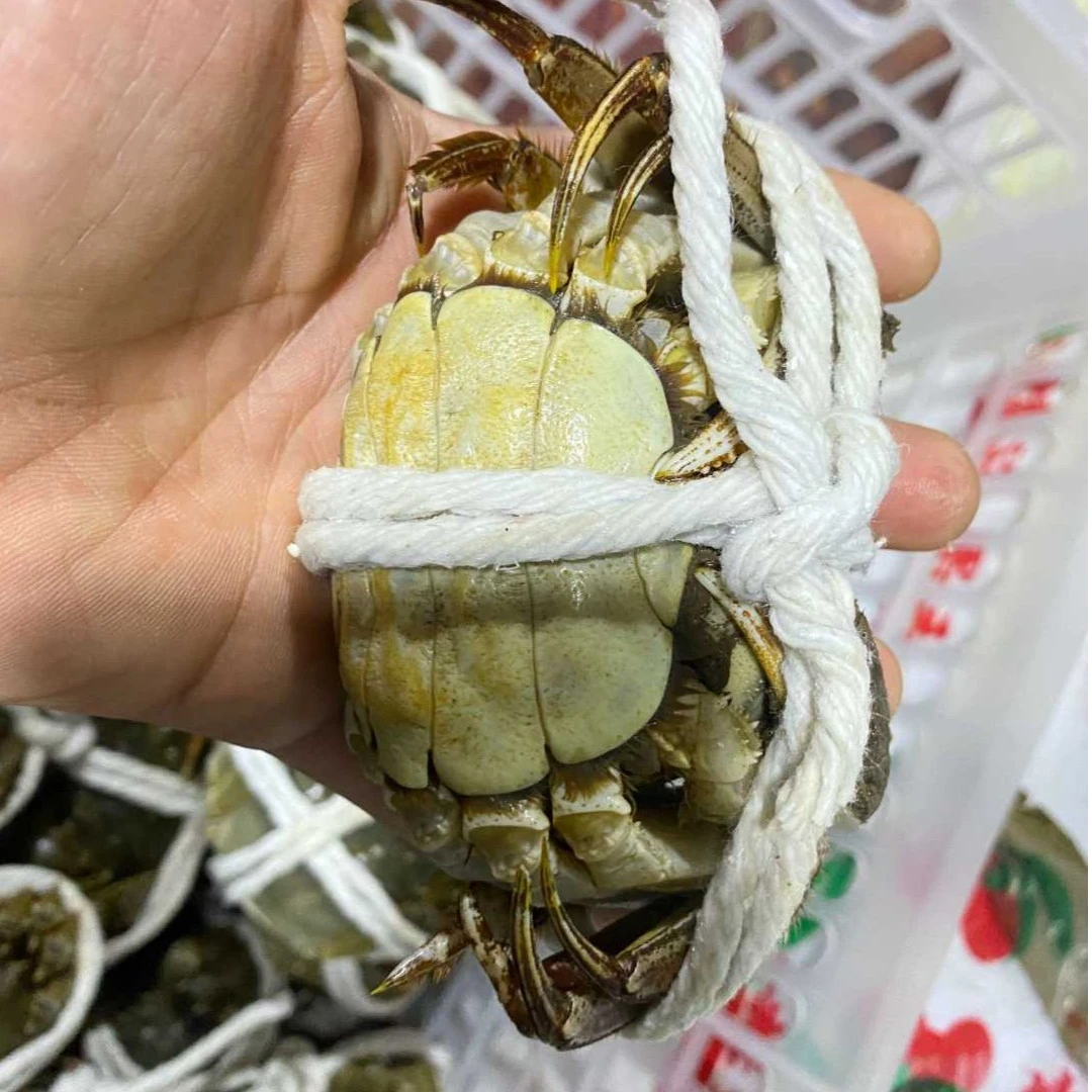 【同城配送】精品 大闸蟹