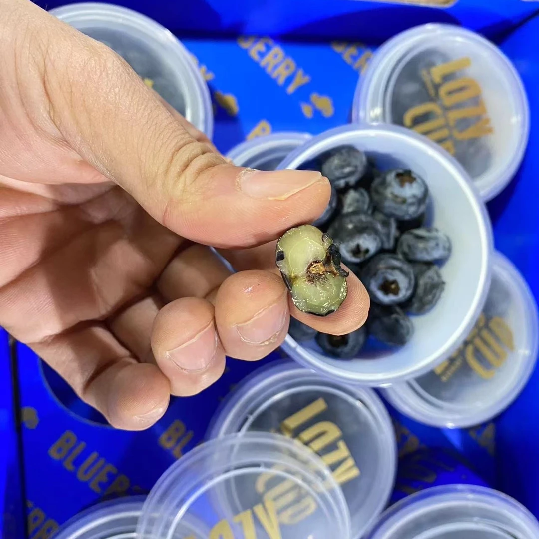 【福州同城配送】LAZY CUP懒人杯蓝莓/1杯70克