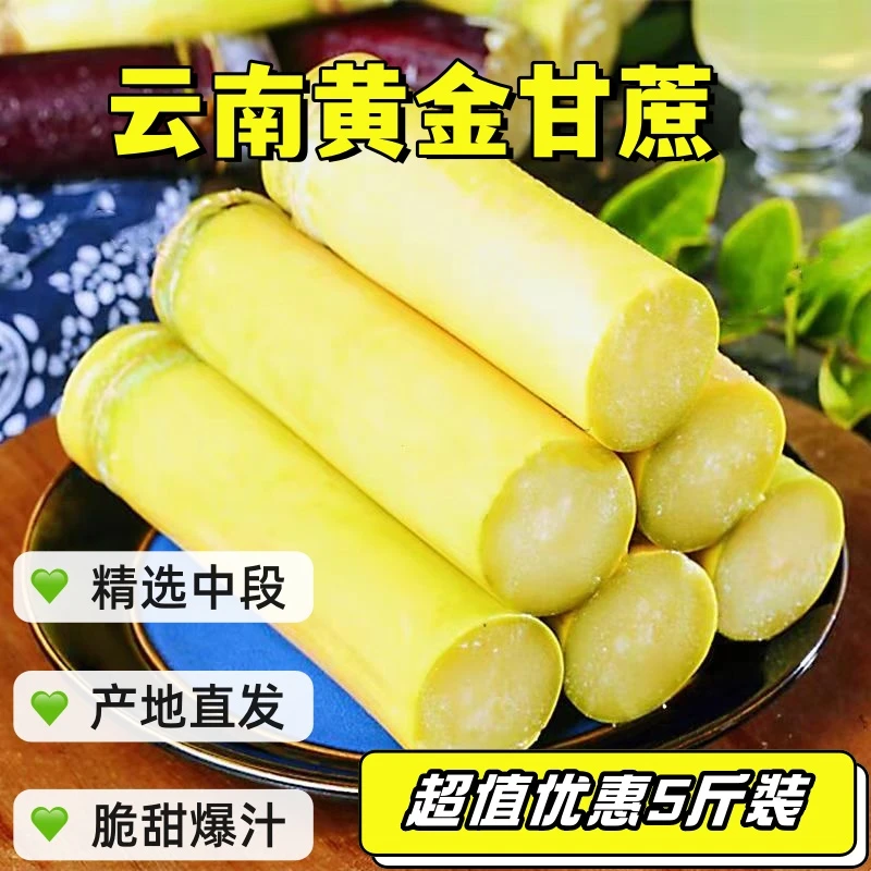 云南黄金甘蔗现砍现发清甜多汁非黑皮绿皮甘蔗黄皮精品5黄皮甘蔗
