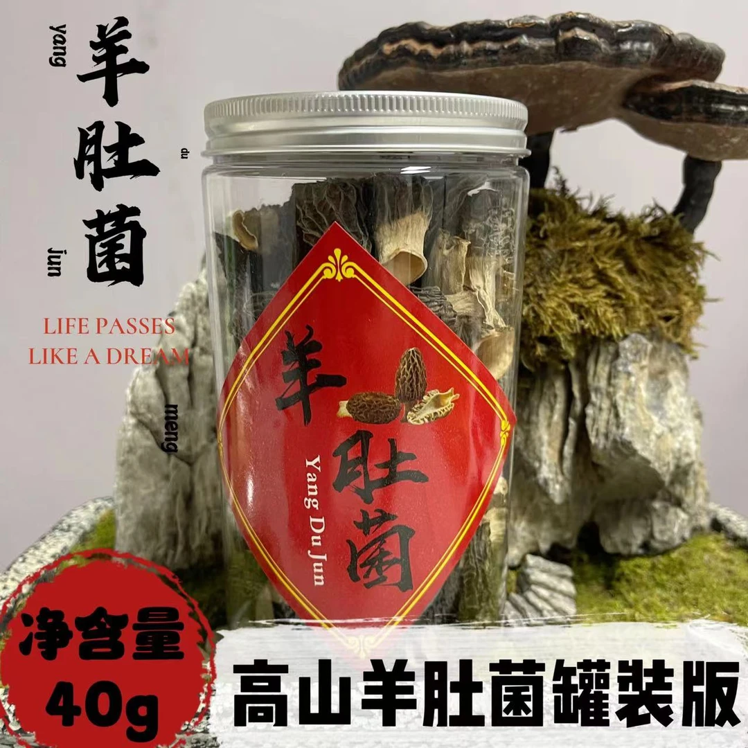 韶滋味羊肚菌菌罐装版煲汤新鲜营养干货食材40克甄选饱满鲜美
