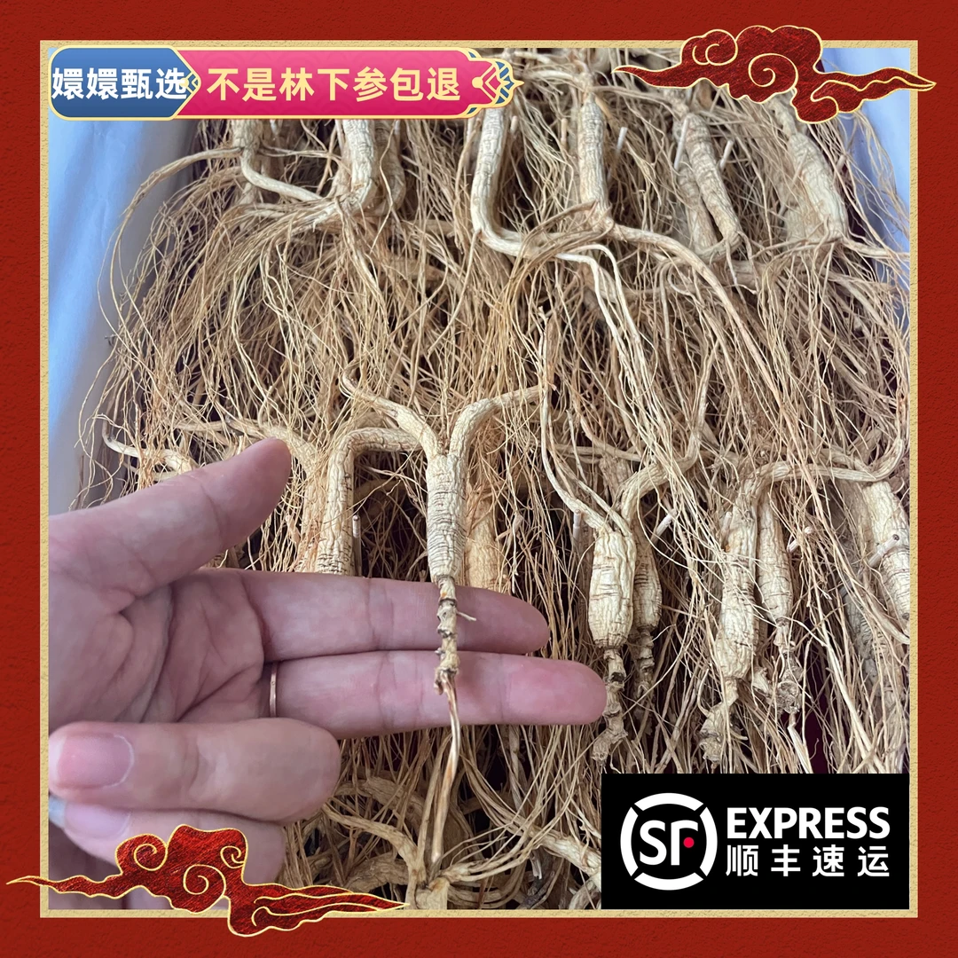 【嬛嬛甄选】长白山人参顺丰包邮 四.九 一支