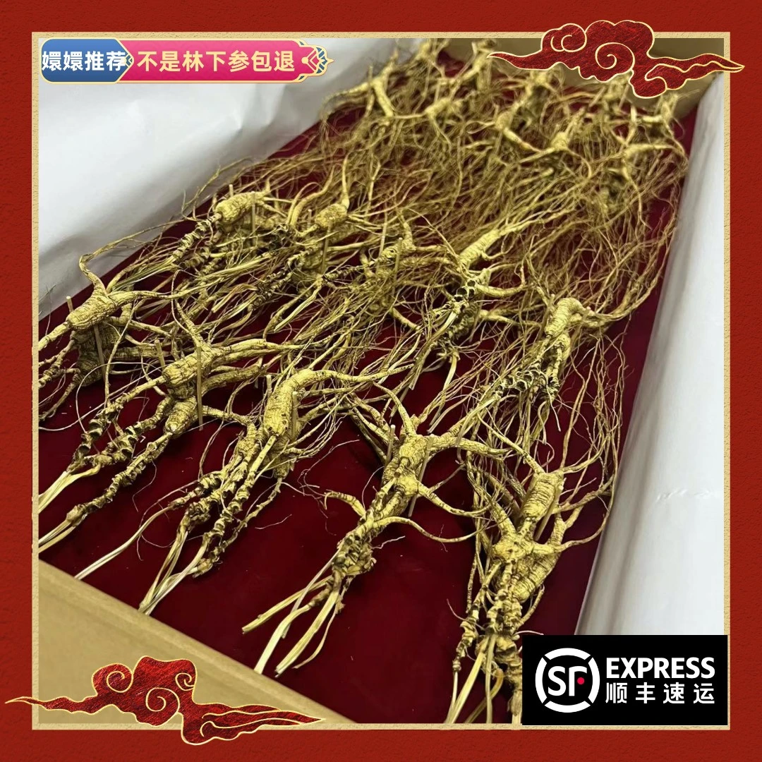 【嬛嬛甄选】长白山人参籽参籽货 五八一支  顺丰包邮