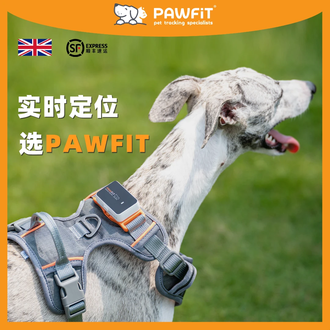 Pawfit宠物定位器狗猫咪防丢语音召回gps追踪防丢运动监测