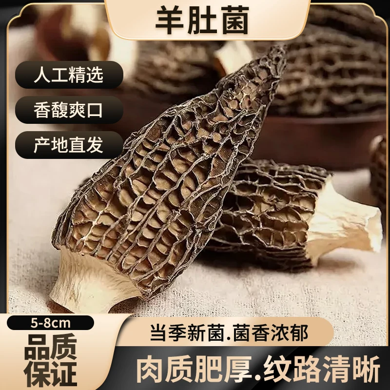 在菌屋云南头茬羊肚菌干货20g 精选短柄大个头5-8cm 煲汤干货食材