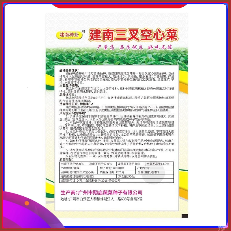 【又四季青白种农家叶菜蔬高产菜三叉割完梗空心菜大田庭大】院长