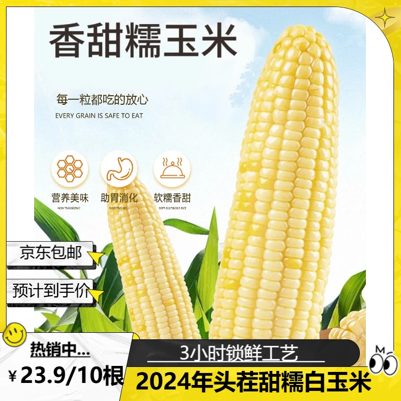 【京东包邮】2024年头茬甜糯白玉米（10根/箱/免费试吃1根）
