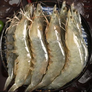 【1】顺丰精品大虾