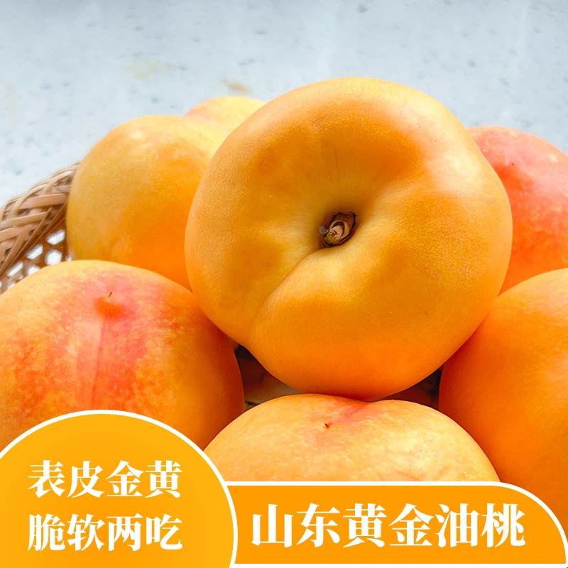 蒙阴油桃现摘桃子新鲜水果黄桃黄油桃3斤/4.5斤黄金油桃当季脆桃