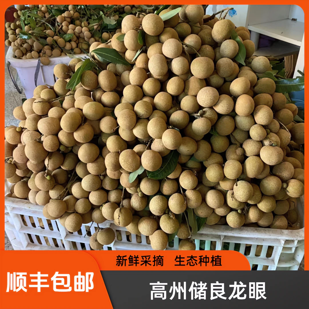 【顺丰包邮】广东茂名高州老树新鲜储良龙眼肉厚新鲜甜脆多汁特大果