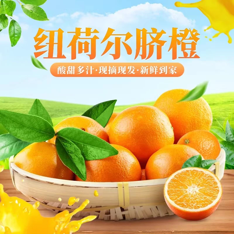 正宗纽荷尔脐橙香甜爆汁皮薄肉厚纯甜无渣新鲜采摘橙子产地直发货