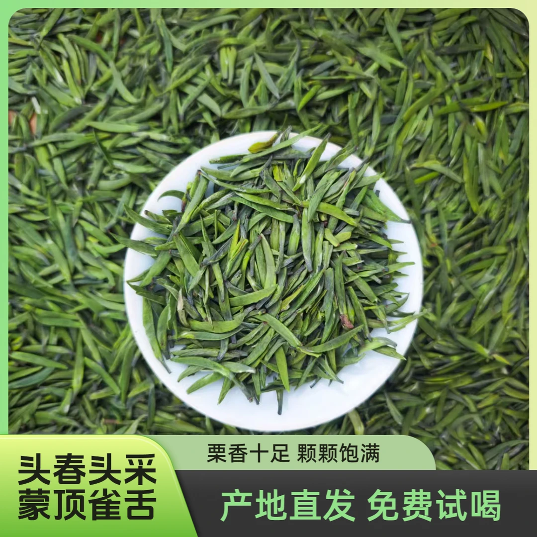《精品雀舌》2025年头春头采蒙顶山高山茶绿茶栗香足鲜爽甘甜